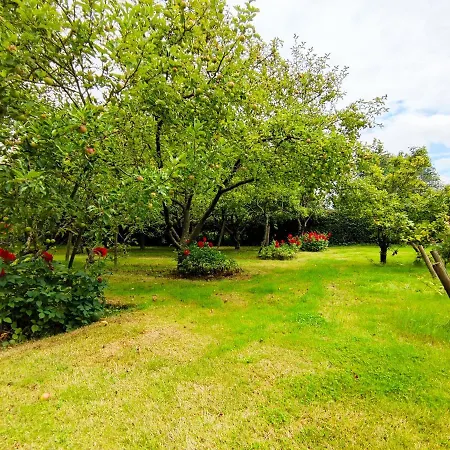 Au Cheval Blanc Guest house Gommegnies