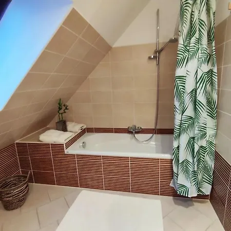 Πανσιόν Au Cheval Blanc Gommegnies